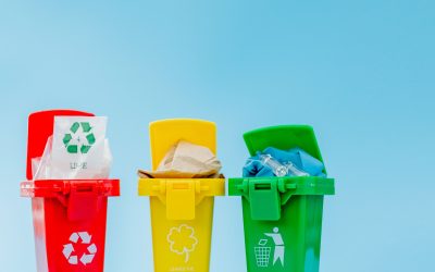 Conventional Plastic Users Vs Biodegradable Plastic Users